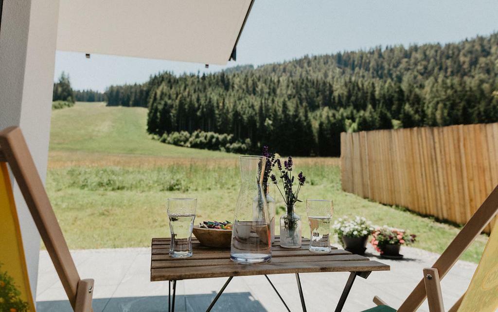 Appartements Almnest Schladming Dış mekan fotoğraf